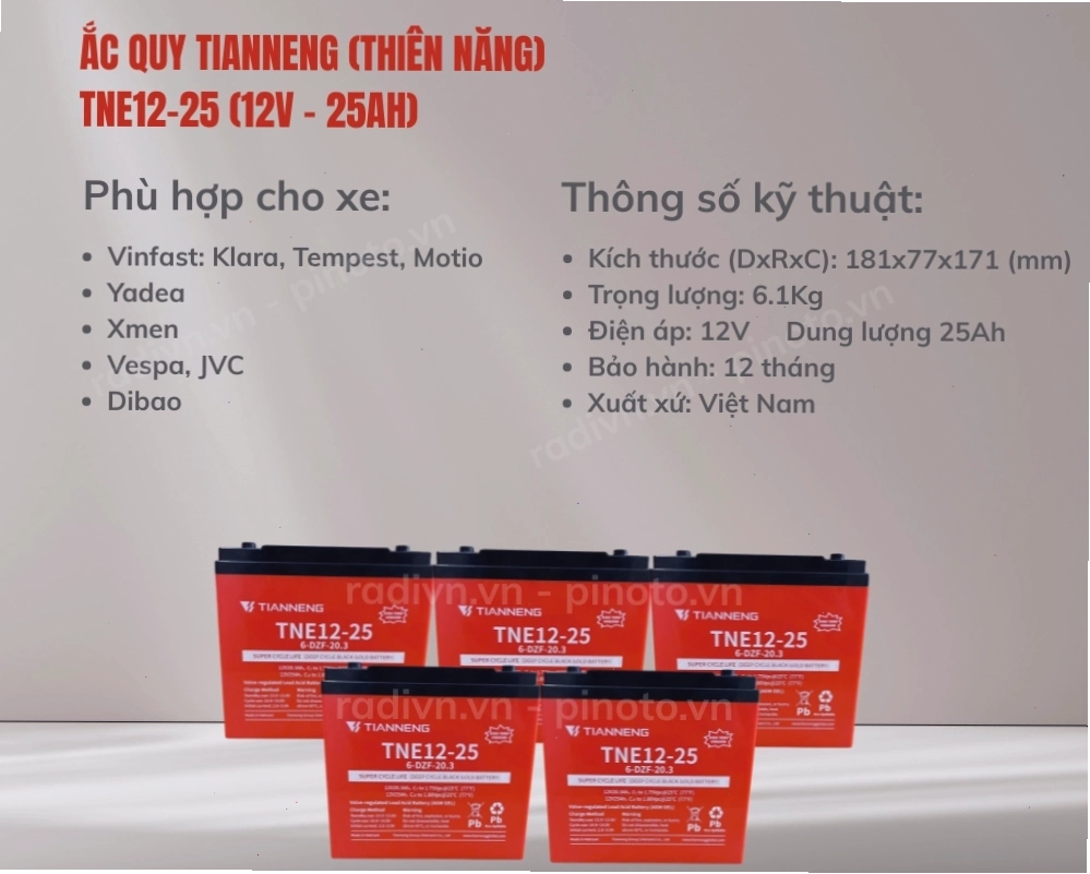 Bình ắc quy Tianneng cho xe VinFast Motio