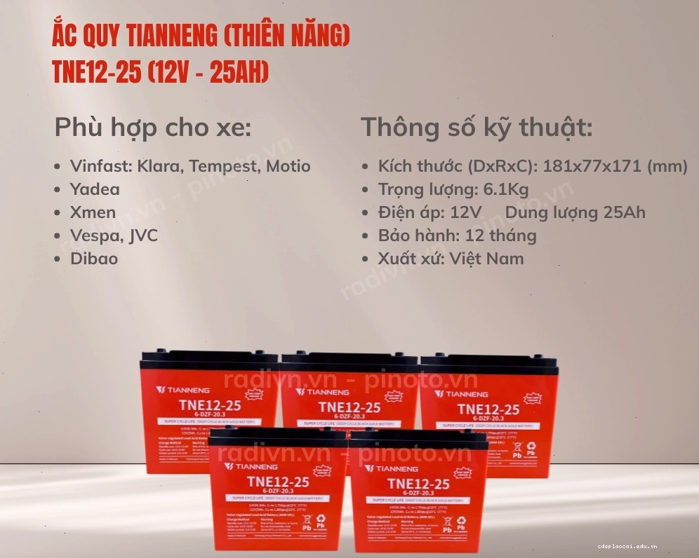 Bình ắc quy Tianneng TNE12-25 cho xe VinFast Motio