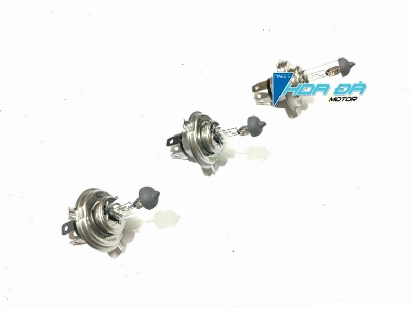 Bóng đèn pha Halogen cho xe Piaggio