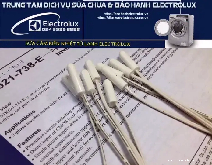 Cảm biến nhiệt độ tủ lạnh Electrolux bị hỏng gây ảnh hưởng đến việc bảo quản thực phẩm