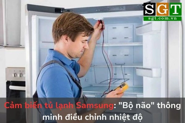 Cảm biến nhiệt độ tủ lạnh Samsung: Chức năng, dấu hiệu hư hỏng và cách khắc phục