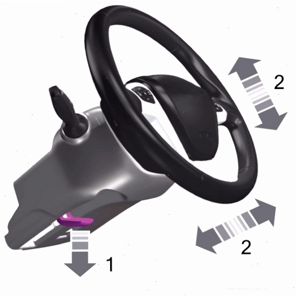 Cận cảnh vô lăng carbon Ford với đường vân tinh tế