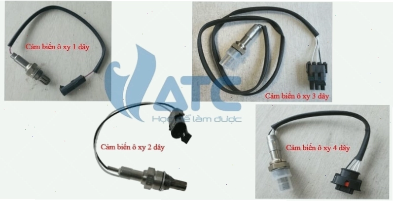 Cấu tạo chi tiết của cảm biến Oxy trên xe ô tô