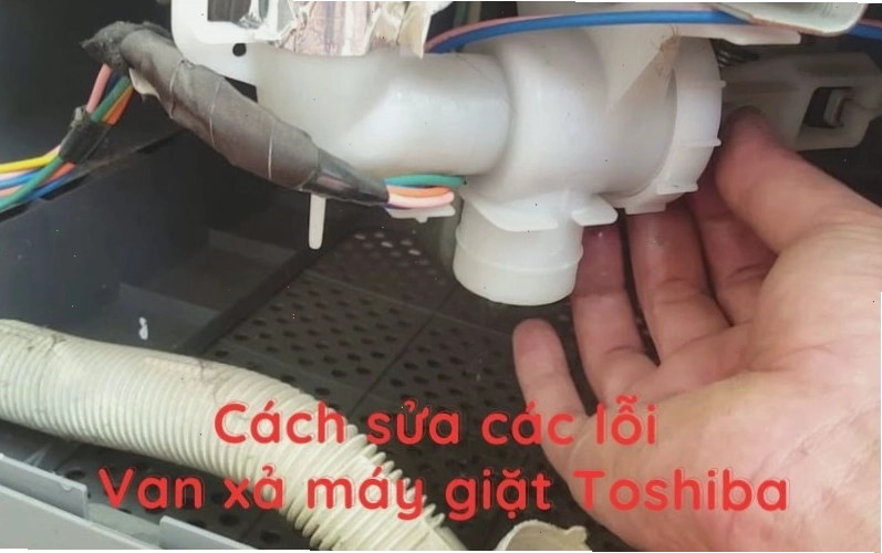 Cấu tạo ống xả nước máy giặt Toshiba