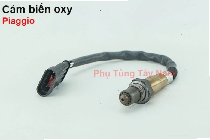 Chi tiết kết nối của cảm biến oxy Piaggio