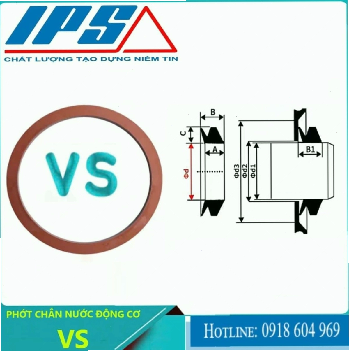Chi tiết phớt chắn nước động cơ VS