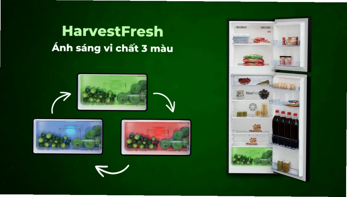Công nghệ HarvestFresh trên tủ lạnh Beko bảo quản rau củ quả tươi ngon