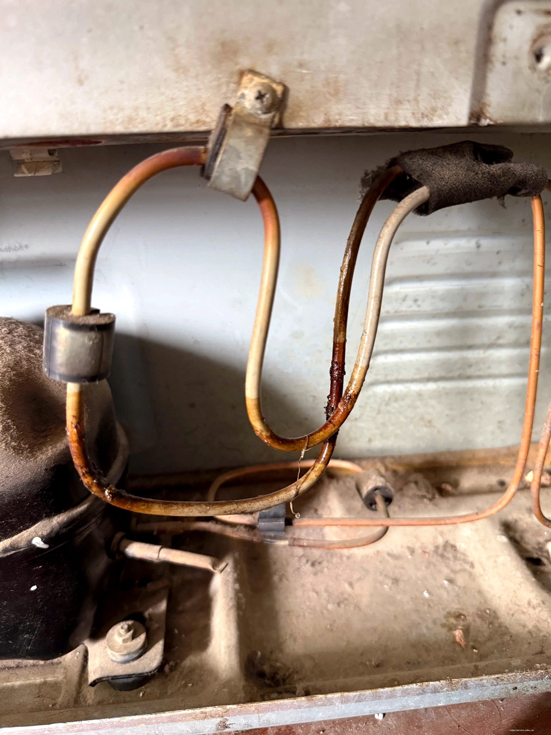 Dàn nóng tủ lạnh Hitachi bị oxy hóa gây rò rỉ gas