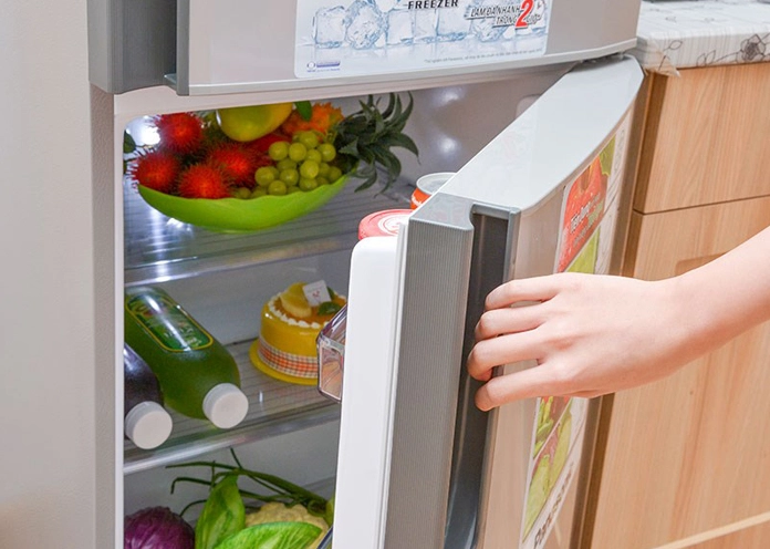 Đèn Tủ Lạnh Sanyo Không Sáng: Nguyên Nhân và Cách Thay Thế Đơn Giản