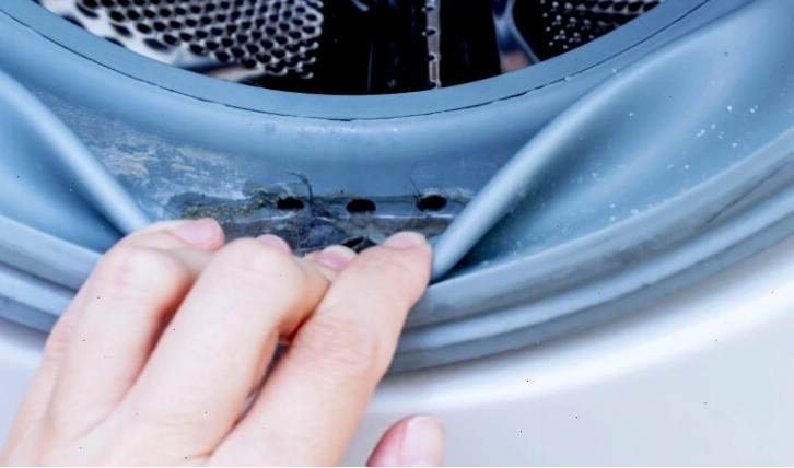 Gioăng cửa máy giặt LG bị nấm mốc và rách cần thay thế