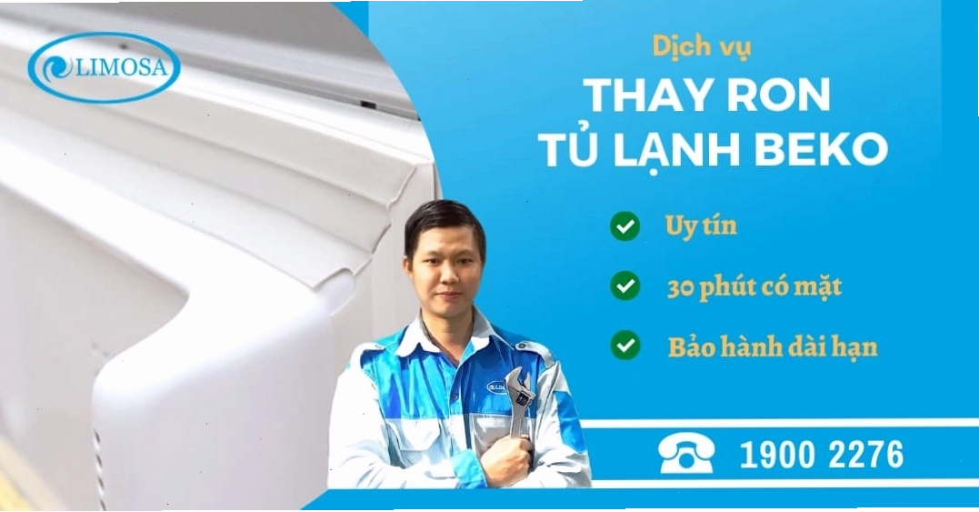 Gioăng cửa tủ lạnh Beko bị hư hỏng, nứt gãy