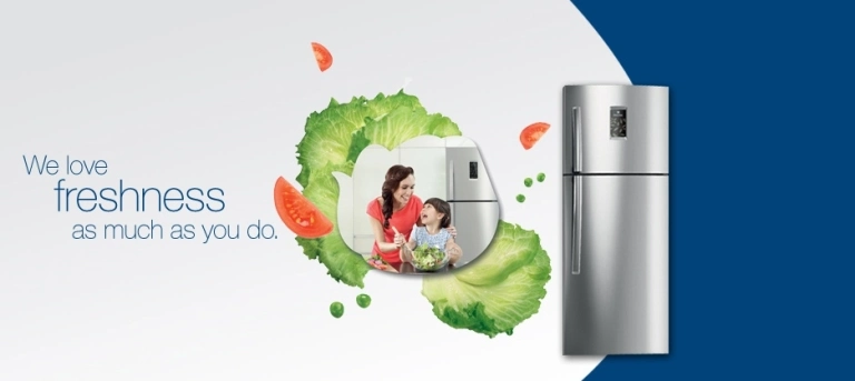 Hộp Đựng Rau Củ Electrolux: Giải Pháp Bảo Quản Tươi Ngon Toàn Diện