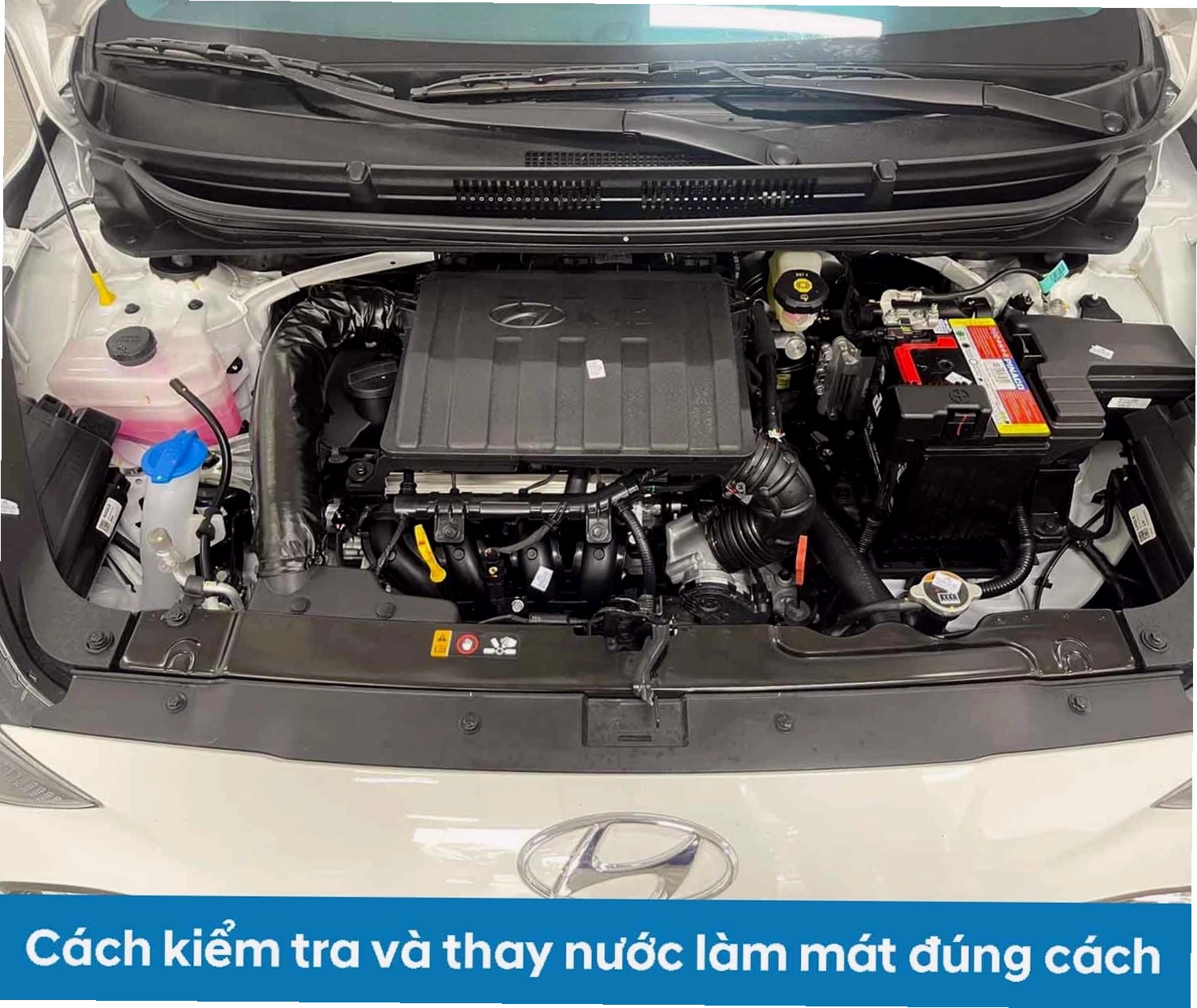 Hướng dẫn kiểm tra và thay nước làm mát ô tô