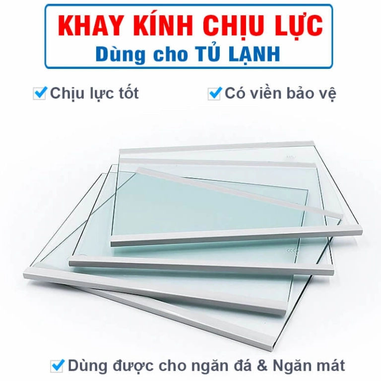Kệ để đồ tủ lạnh Aqua: Đánh giá và mẹo chọn mua thông minh 2026