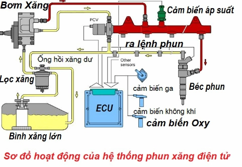 Khám phá Cảm biến Xe máy SYM: Chức năng, Vai trò và Địa chỉ mua hàng uy tín