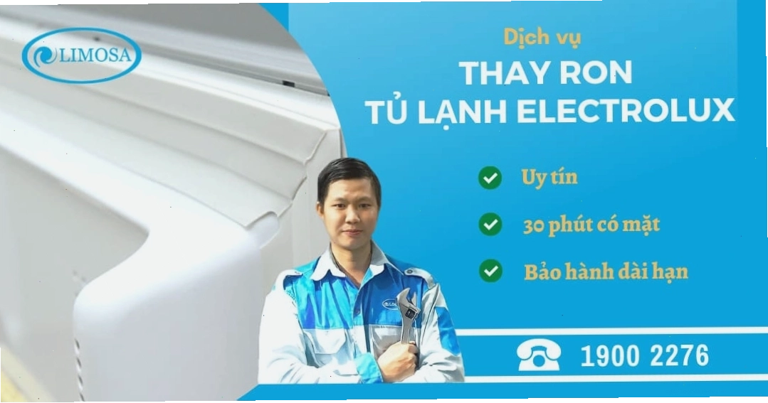 Kiểm tra tình trạng gioăng cửa tủ lạnh Electrolux bị hở