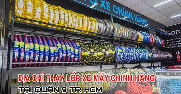 Lốp sau Sanyang: Chọn lựa và Hướng dẫn thay thế cho xe máy