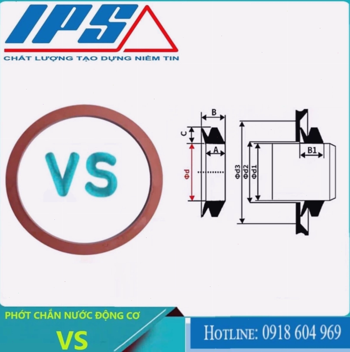 Phớt chống thấm nước cho động cơ - Minh họa cấu tạo và chức năng