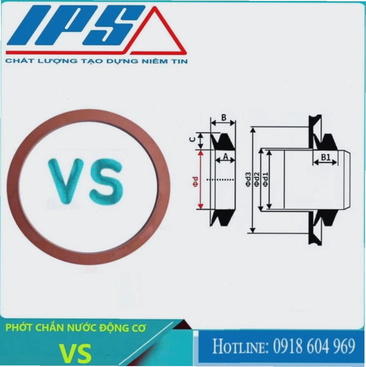 Phớt chống thấm nước động cơ VS bị rò rỉ