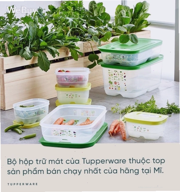 Rau củ được bảo quản trong hộp chuyên dụng giữ được độ tươi ngon