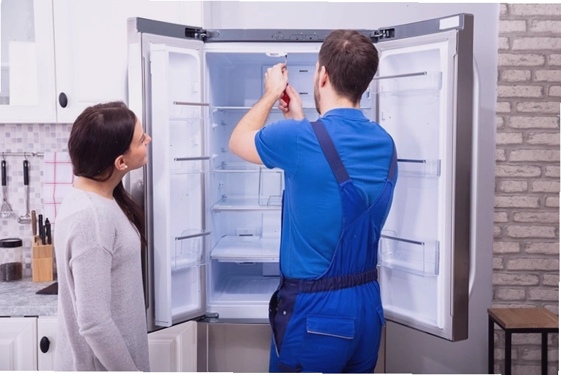 Rút phích cắm tủ lạnh