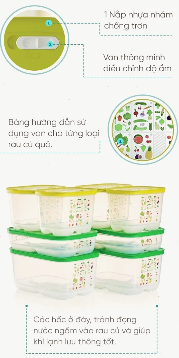 So sánh độ tươi của rau củ sau 7 ngày bảo quản trong các loại dụng cụ khác nhau