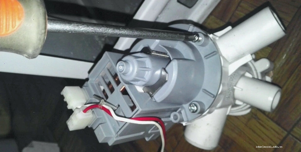 Tháo bơm thoát nước máy giặt để kiểm tra