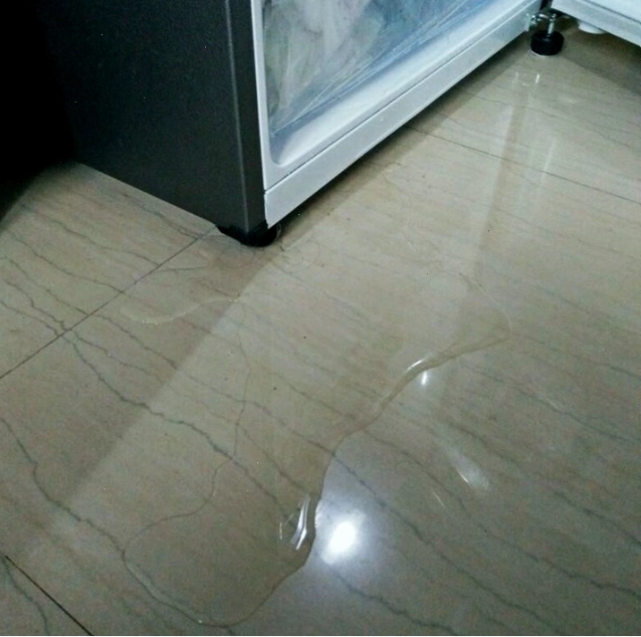 Tủ lạnh Sharp bị chảy nước ở phía sau, có thể do bình lọc nước gặp vấn đề