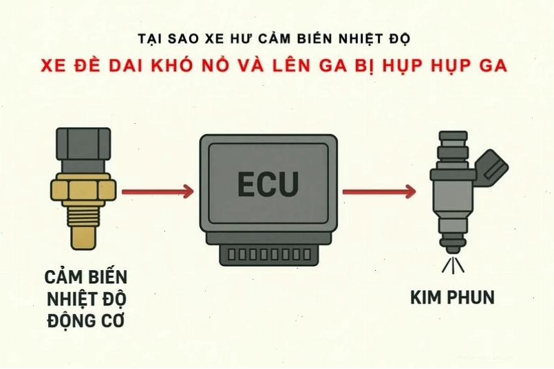 Vai trò của cảm biến ECT trên xe máy SYM trong việc kiểm soát nhiệt độ động cơ