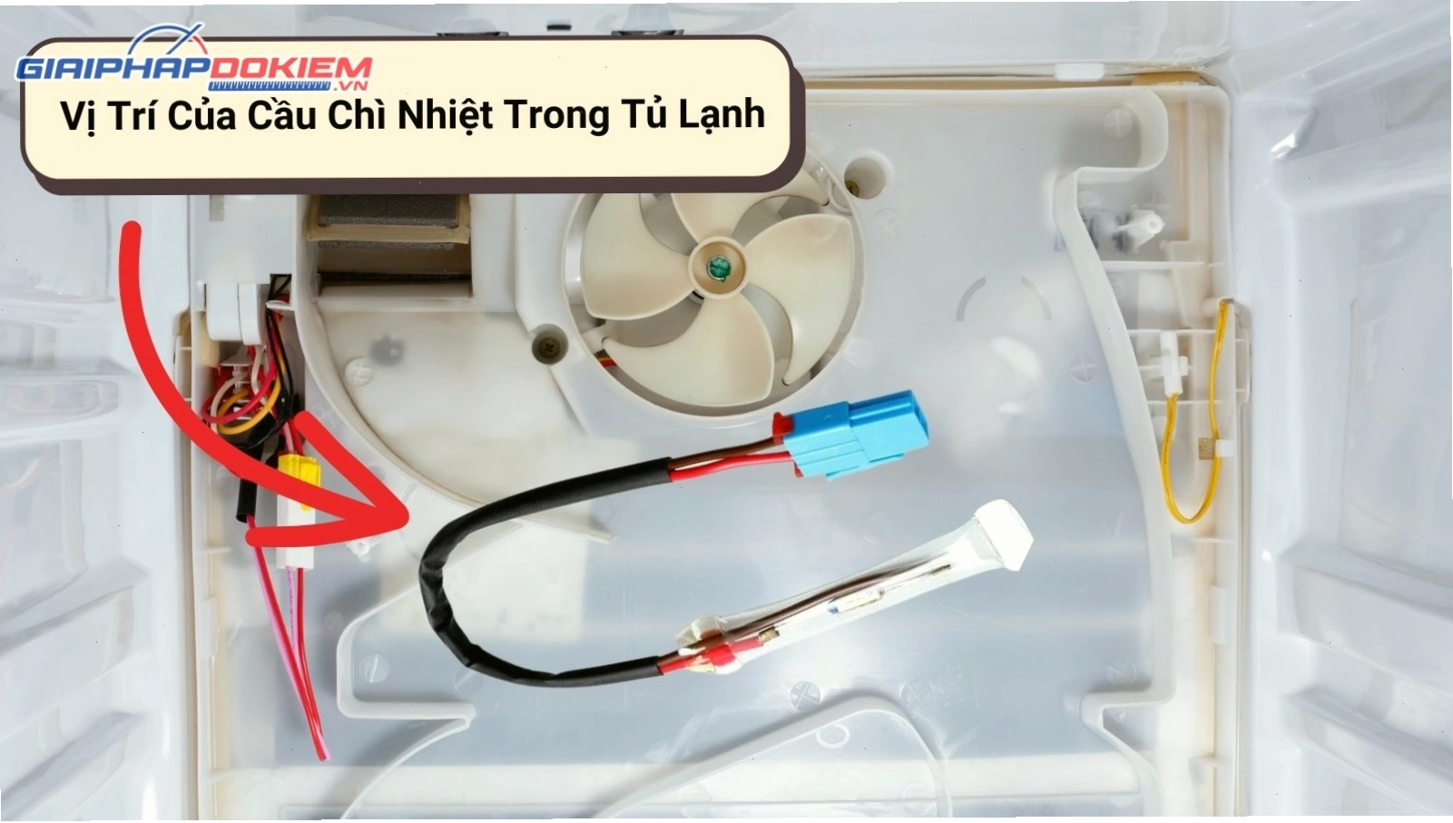 Vị trí cầu chì nhiệt trong tủ lạnh Samsung