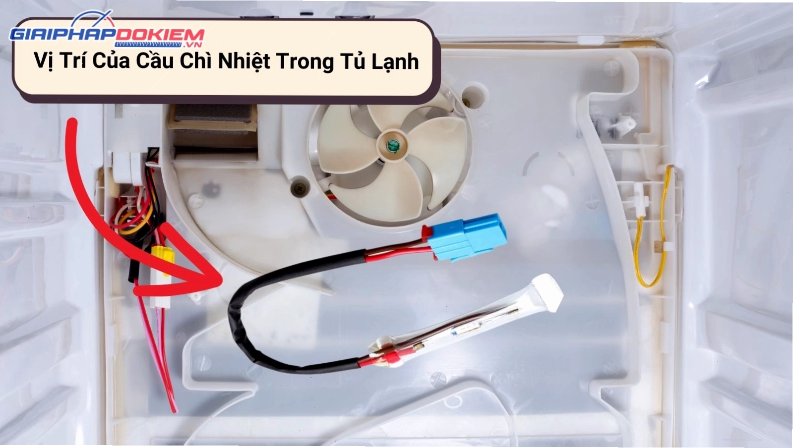 Vị trí của cầu chì nhiệt trong tủ lạnh