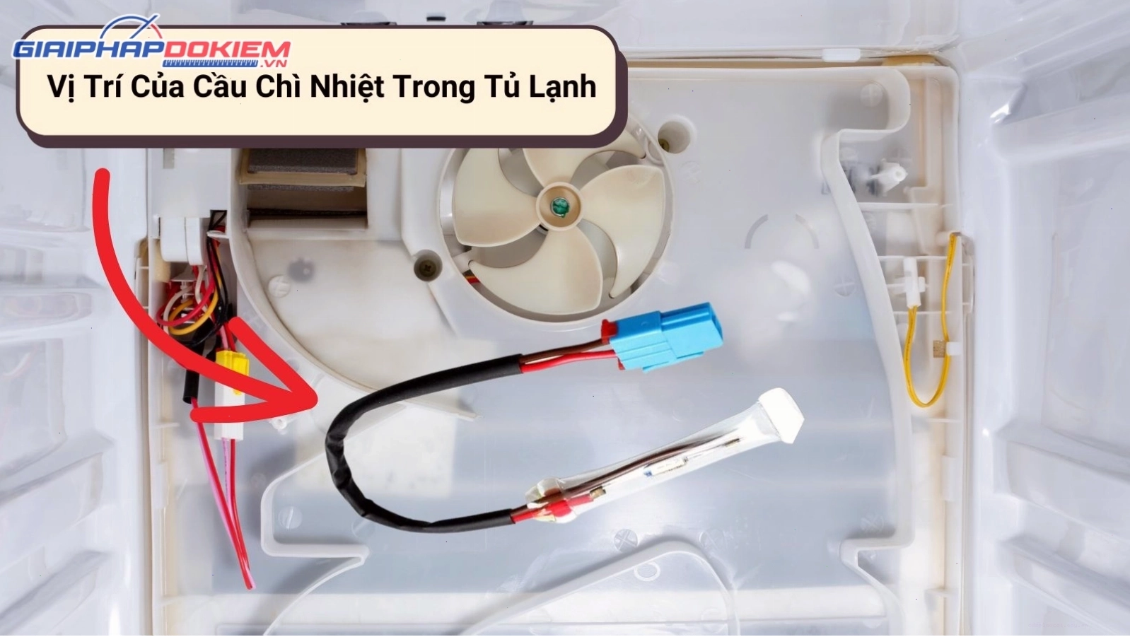 Vị trí của cầu chì nhiệt trong tủ lạnh