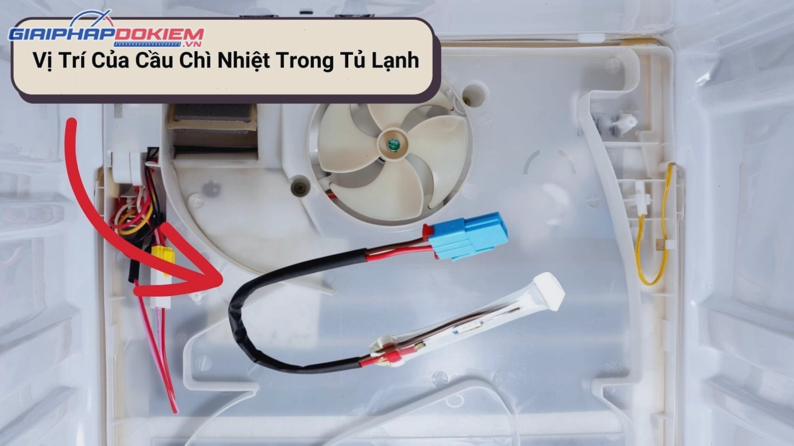 Vị trí của cầu chì nhiệt trong tủ lạnh
