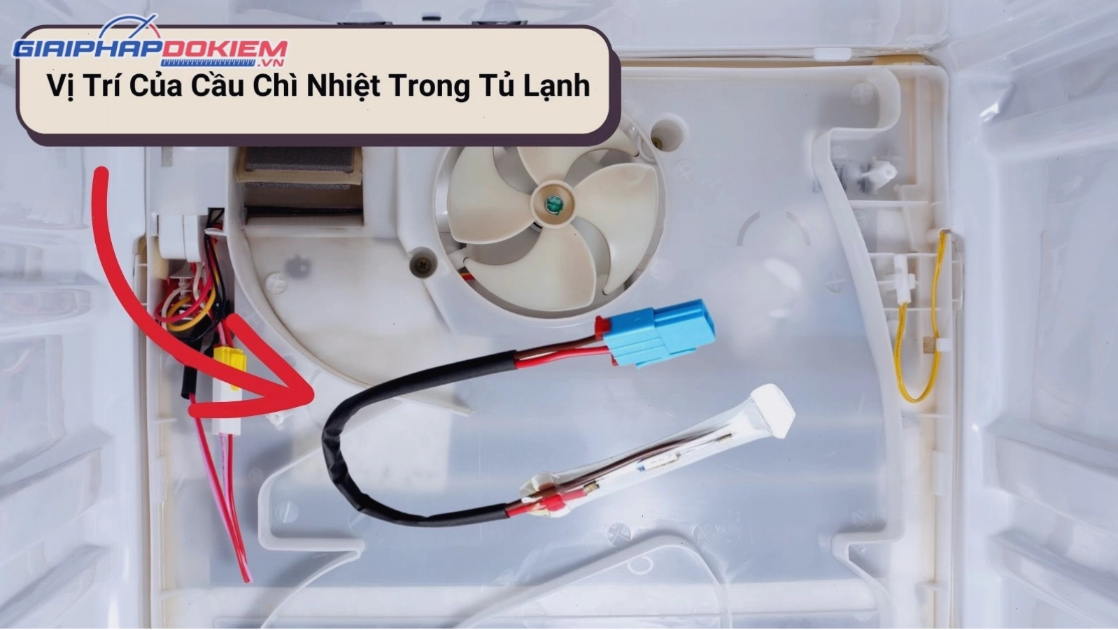 Vị trí của cầu chì nhiệt trong tủ lạnh