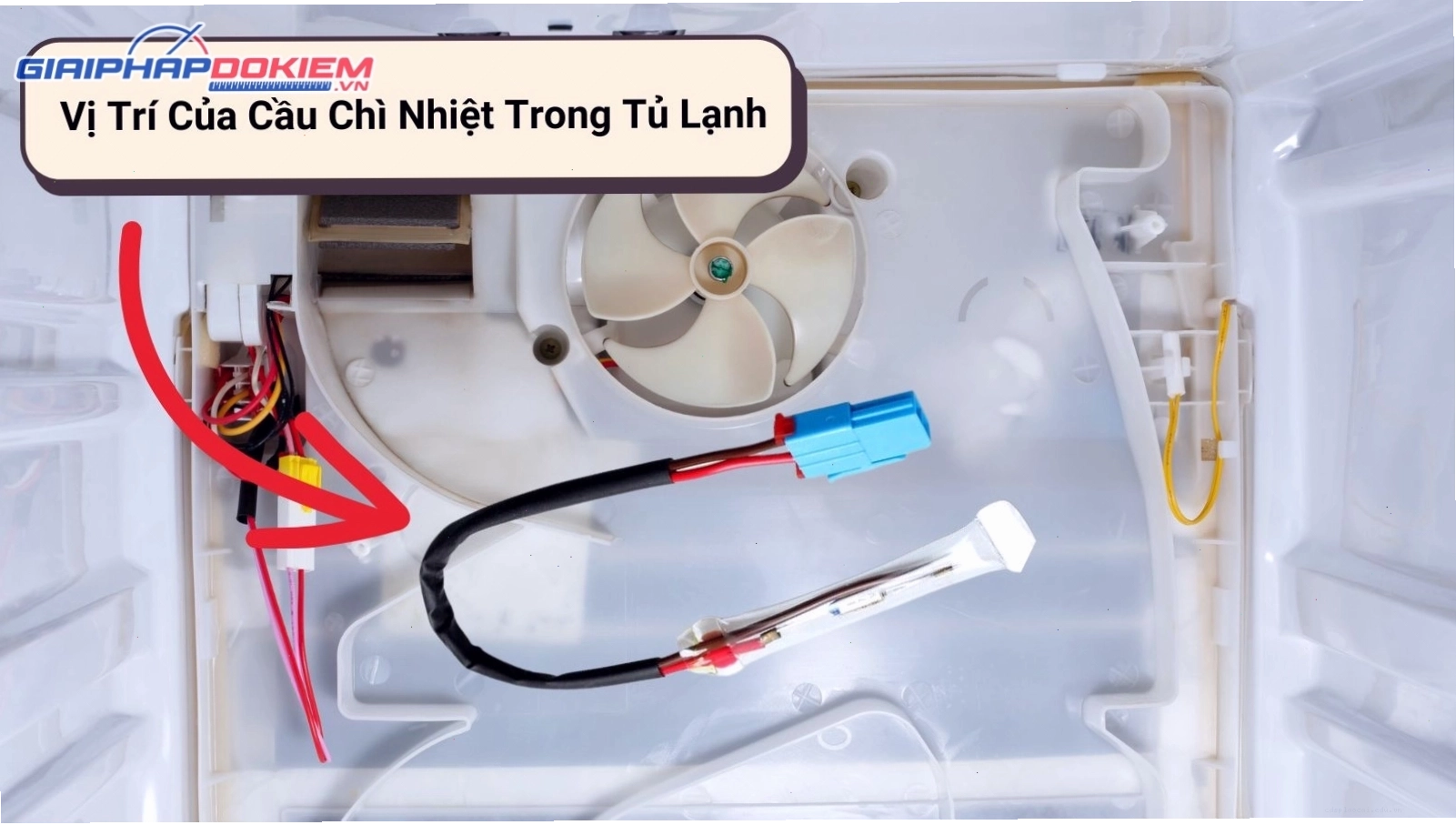 Vị trí của cầu chì nhiệt trong tủ lạnh
