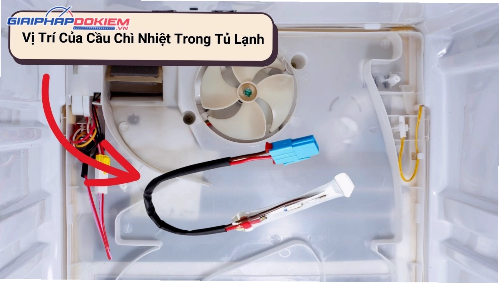 Vị trí của cầu chì nhiệt trong tủ lạnh