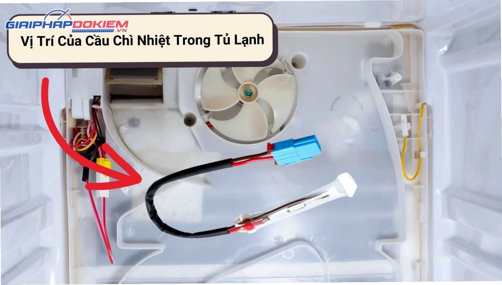 Vị trí của cầu chì nhiệt trong tủ lạnh Sanyo