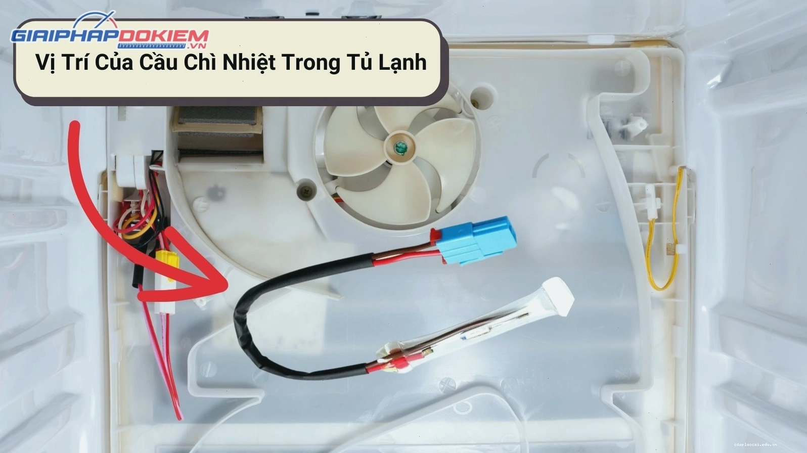 Vị trí của cầu chì nhiệt trong tủ lạnh