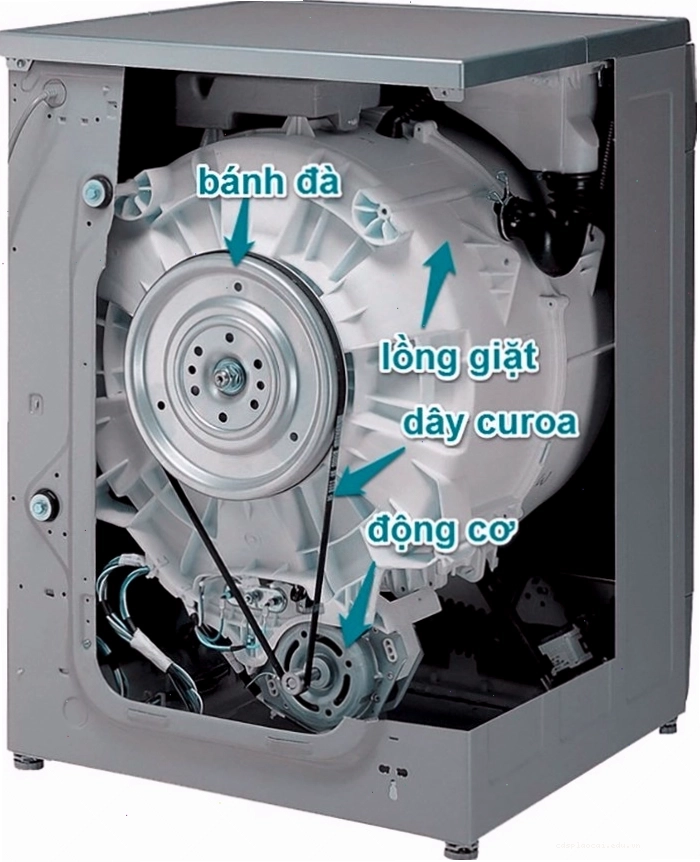 Vị trí của dây curoa trong máy giặt Electrolux