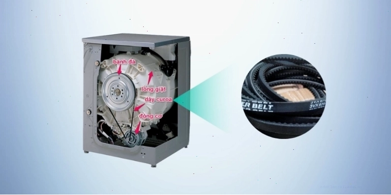 Vị trí dây curoa thường nằm phía sau hoặc dưới đáy của máy giặt