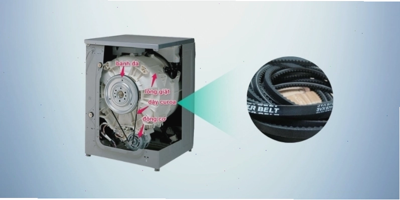 Vị trí dây curoa trong máy giặt