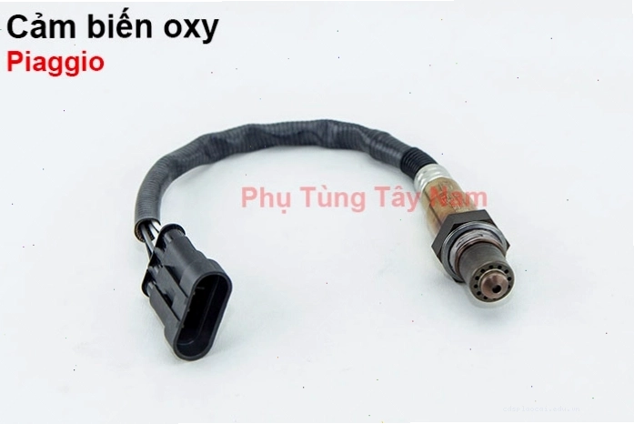 Vị trí lắp đặt cảm biến oxy trên ống xả xe Piaggio