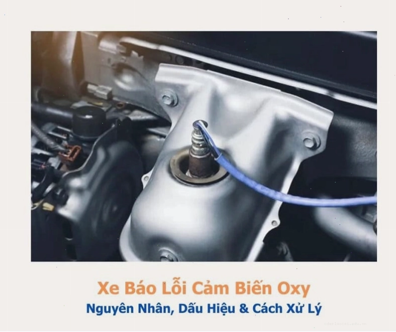Xe báo lỗi cảm biến oxy và các vấn đề liên quan